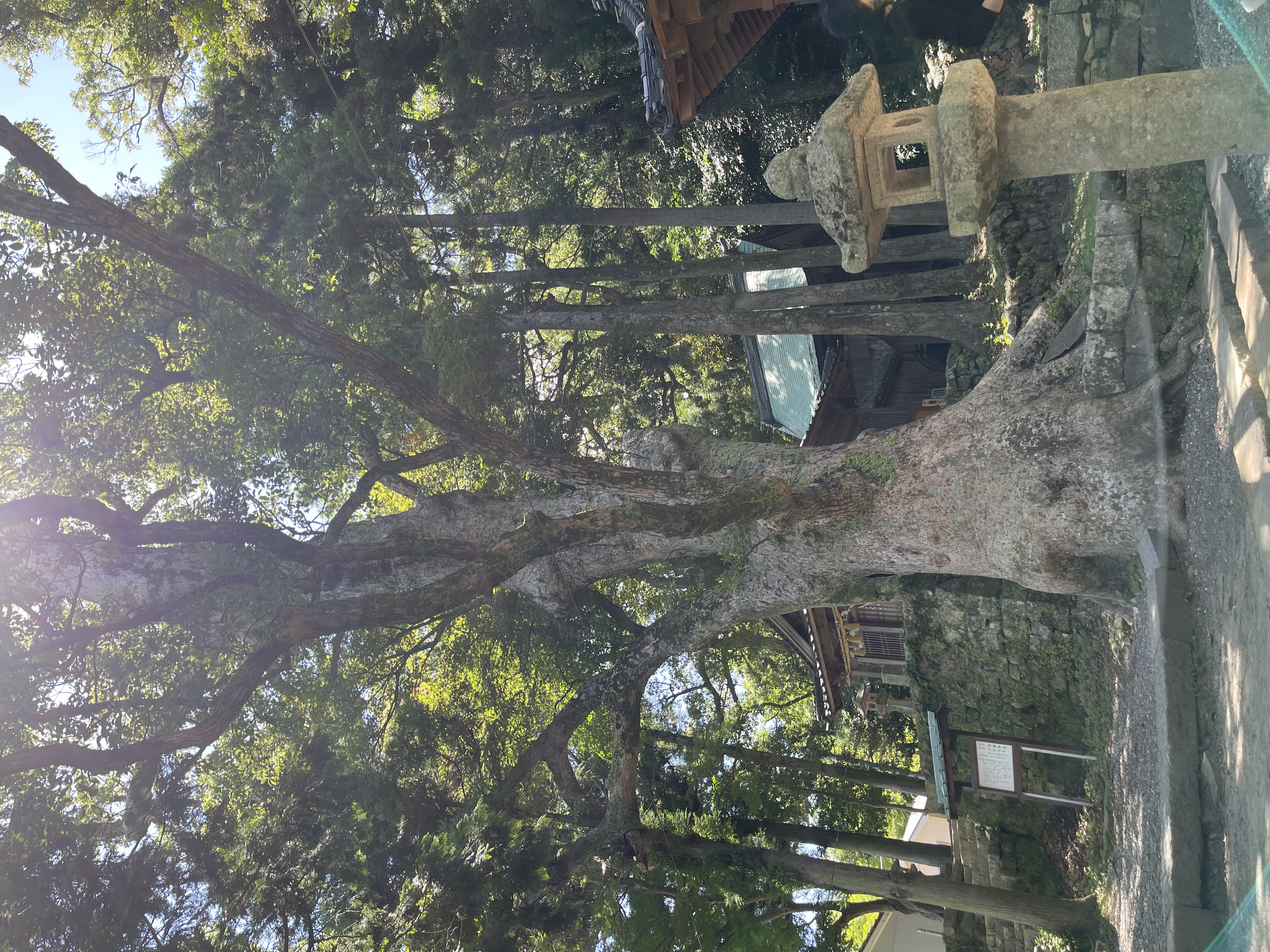 하치만궁 Hachiman Shrine