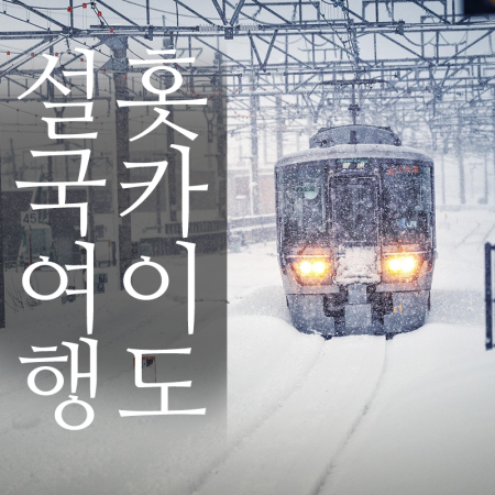 설국여행 꽉찬일정 비에이 후라노 북해도 온천4일