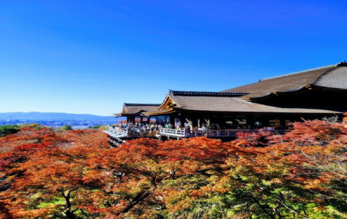 [BX]일석이조- 오사카/고베/나라/교토/아라시야마 or USJ 2박 3일 (온천1박)