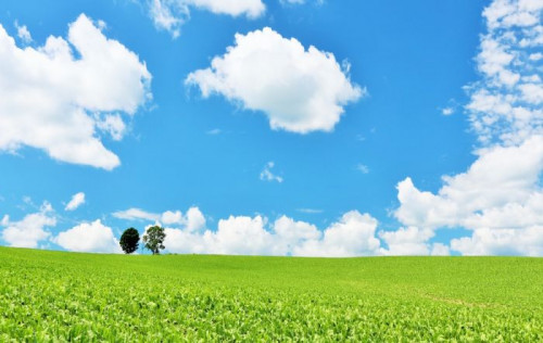 [LJ]꽉찬일정 노보리베츠&도야&비에이&후라노&오타루&삿포로 일주 3박4일