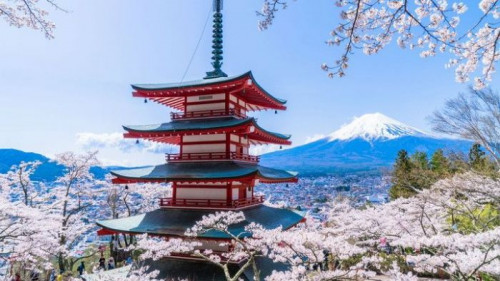 [BX] 시즈오카 전세기 소도시 감성여행 후지산 집중 온천호텔 2박 3일