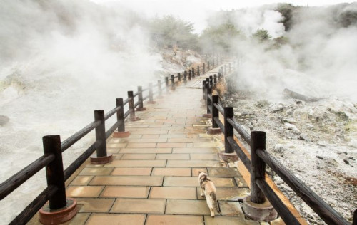 [BX] 나가사키 전세기 조조 소도시 감성여행 일본 3대 미인♨온천 우레시노 숙박 3박 4일