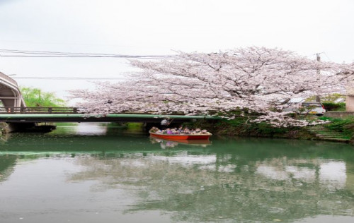 [TW]디럭스 북큐슈 조석 후쿠오카/벳부/아소/야나가와 온천호텔 2박♨ 3일